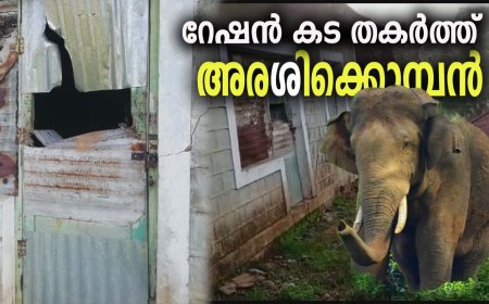 തമിഴ്നാട്ടിൽ റേഷൻ കടയ്ക്കുനേരെ അരിക്കൊമ്പന്റെ ആക്രമണം