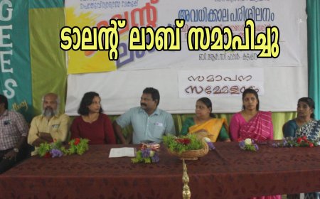 ബി.ആർ സി കട്ടപ്പനയുടെ നേതൃത്വത്തിൽ നടന്നു വന്ന
ടാലന്റ് ലാബ് പ്രവർത്തനങ്ങൾക്ക് സമാപനമായി