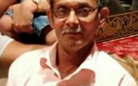 കൊല്ലത്തും  കാട്ടുപോത്തിന്റെ ആക്രമണം; വൃദ്ധന് ദാരുണാന്ത്യം