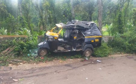 അണക്കരയ്ക്ക് സമീപം ഓട്ടോറിക്ഷ നിയന്ത്രണം വിട്ടു മറിഞ്ഞ് ഒരാൾ മരിച്ചു. രണ്ടുപേർക്ക് പരിക്കേറ്റു. അണക്കര സ്വദേശി വർഗീസ് ആണ് മരിച്ചത്.