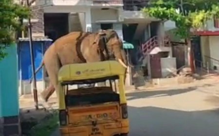 ആളുകളോട് പുറത്തിറങ്ങരുതെന്ന് പോലീസിന്റെ കർശന നിർദേശം