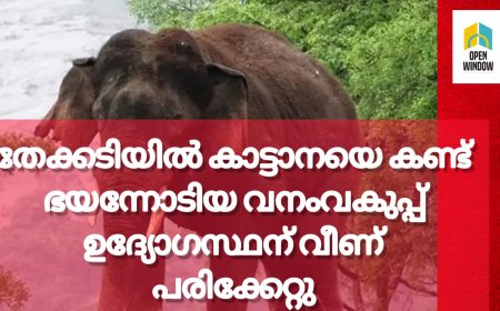തേക്കടിയിൽ കാട്ടാനയെ കണ്ട് ഭയന്നോടിയ വനംവകുപ്പ് ഉദ്യോഗസ്ഥന് വീണ് പരിക്കേറ്റു