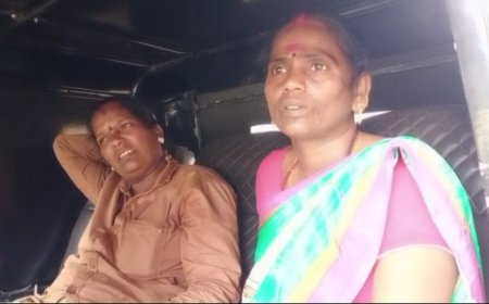 കാട്ടുപോത്തിന്റെ ആക്രമണത്തിൽ രണ്ട് എസ്റ്റേറ്റ് തൊഴിലാളികൾക്ക് പരിക്കേറ്റു