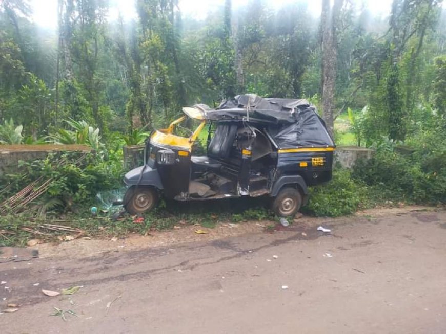 അണക്കരയ്ക്ക് സമീപം ഓട്ടോറിക്ഷ നിയന്ത്രണം വിട്ടു മറിഞ്ഞ് ഒരാൾ മരിച്ചു. രണ്ടുപേർക്ക് പരിക്കേറ്റു. അണക്കര സ്വദേശി വർഗീസ് ആണ് മരിച്ചത്.