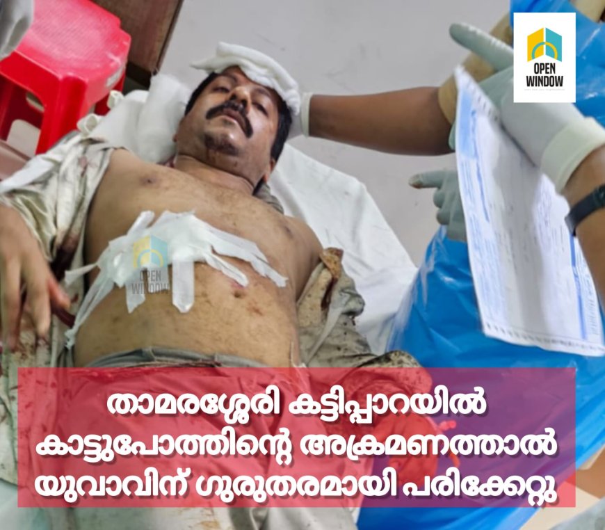 താമരശ്ശേരി കട്ടിപ്പാറയിൽ കാട്ടുപോത്തിന്റെ അക്രമണത്താൽ യുവാവിന് ഗുരുതരമായി പരിക്കേറ്റു