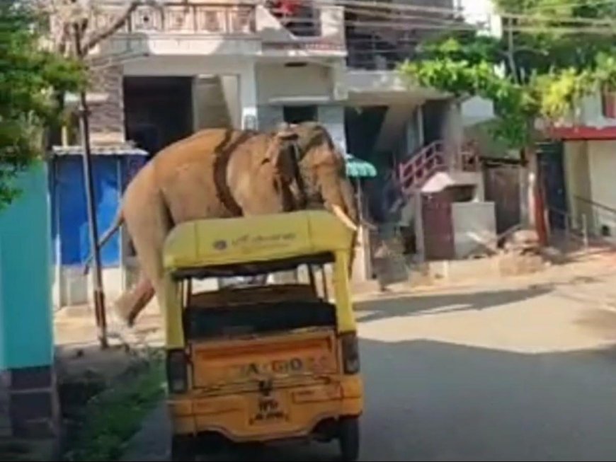 ആളുകളോട് പുറത്തിറങ്ങരുതെന്ന് പോലീസിന്റെ കർശന നിർദേശം