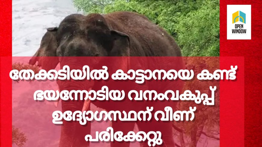 തേക്കടിയിൽ കാട്ടാനയെ കണ്ട് ഭയന്നോടിയ വനംവകുപ്പ് ഉദ്യോഗസ്ഥന് വീണ് പരിക്കേറ്റു