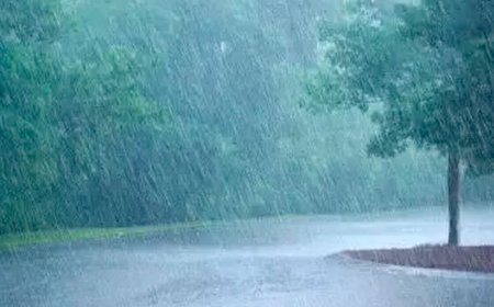 പ്രവചനങ്ങൾ  തെറ്റിച്ച് സംസ്ഥാനത്ത് കാലവർഷം വൈകുന്നു.