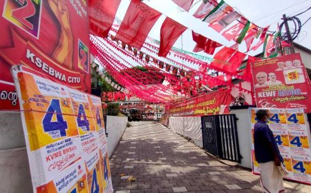 കൊടിതോരണങ്ങൾ അടിയന്തരമായി നീക്കം ചെയ്യണം: ജില്ലാതല മോണിറ്ററിംഗ് സമിതി