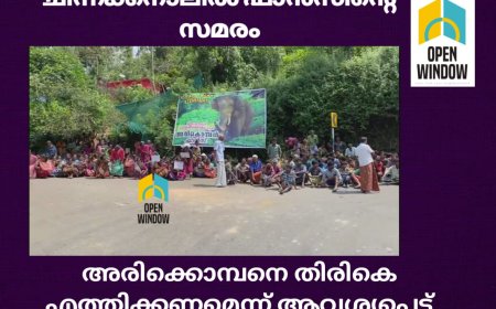 അരിക്കൊമ്പനു വേണ്ടി ചിന്നക്കനാലിൽ ഫാൻസിൻ്റെ സമരം