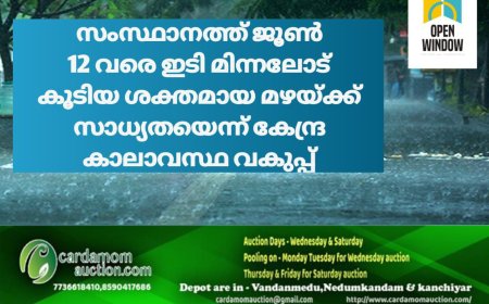 സംസ്ഥാനത്ത് ജൂൺ 12 വരെ ഇടി മിന്നലോട് കൂടിയ ശക്തമായ മഴയ്ക്ക് സാധ്യത