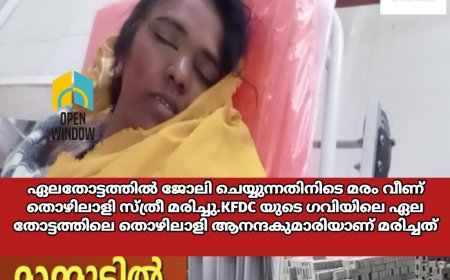 ഇടുക്കി ഗവിയിൽ ഏലതോട്ടത്തിൽ ജോലി ചെയ്യുന്നതിനിടെ മരം വീണ് തൊഴിലാളി സ്ത്രീ മരിച്ചു