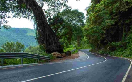 മലയോരഹൈവേ പദ്ധതി; അവലോകന യോഗം ചേര്‍ന്നു