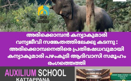 അരിക്കൊമ്പൻ കന്യാകുമാരി വന്യജീവി സങ്കേതത്തിലേക്കു കടന്നു; പ്രദേശത്തു നിന്നുള്ള റേഡിയോ കോളർ സന്ദേശം ലഭിച്ചതായി തമിഴ്നാട് വനംവകുപ്പ്