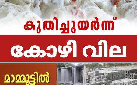 സം​സ്ഥാ​ന​ത്ത് കോ​ഴി​വി​ല അ​നി​യ​ന്ത്രി​ത​മാ​യി വ​ർ​ധി​ച്ചു​കൊ​ണ്ടി​രി​ക്കു​ന്ന​തി​നെ​തി​രെ പ്ര​തി​ഷേ​ധ​വു​മാ​യി വ്യാ​പാ​രി​ക​ൾ