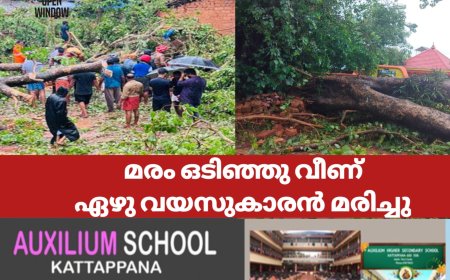 ഫുട്ബോൾ കളിച്ചുകൊണ്ടിരുന്ന കുട്ടികളുടെ മുകളിൽ മരം ഒടിഞ്ഞു വീണ്ഏഴു വയസുകാരൻ മരിച്ചു