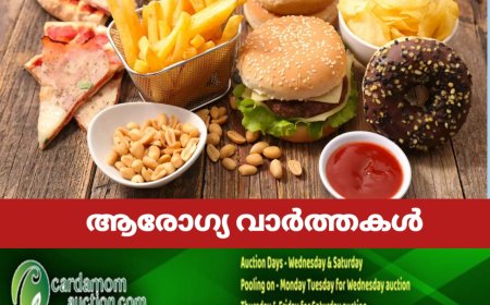 സുരക്ഷിതമല്ലാത്ത ഭക്ഷണം 200ലധികം രോഗങ്ങള്‍ക്ക് കാരണമാകുന്നു ; ലോകാരോഗ്യ സംഘടന