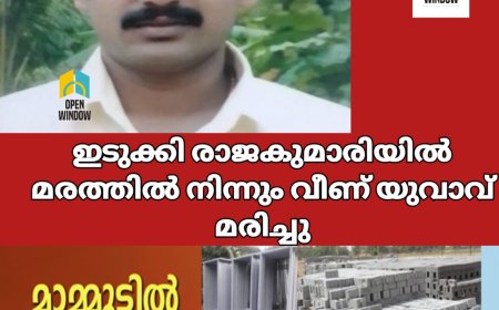 ഇടുക്കി രാജകുമാരിയിൽ മരത്തിൽ നിന്നും വീണ് യുവാവ് മരിച്ചു