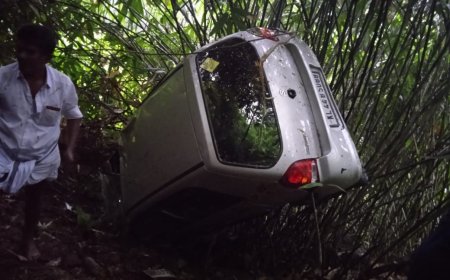 അടിമാലി ചീയപ്പാറയിൽ കാർ കൊക്കയിലേക്ക് മറിഞ്ഞു.
