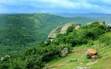 രാമക്കൽമേട്ടിലെ അനധികൃത നിർമ്മാണം പൊളിച്ചുനീക്കി.