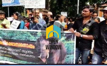 അരിക്കൊമ്പന് ഐക്യദാർഡ്യവുമായി കണ്ണൂരിൽ  മൃഗ സ്നേഹികളുടെ കൂട്ടായ്മ