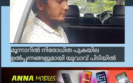 മൂന്നാറിൽ നിരോധിത പുകയില ഉൽപ്പന്നങ്ങളുമായി യുവാവ് പിടിയിൽ