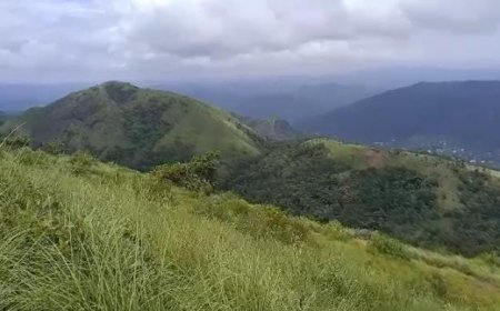 മഴക്കാലം ആരംഭിച്ചതോടെ ഇടുക്കിയിലെ  മൺസൂൺ ടൂറിസത്തിന്റെ സാധ്യതകളും വർദ്ധിച്ചു. സദാ സമയവും ഉള്ള കോടമഞ്ഞും മഴയും തണുപ്പും  സഞ്ചാരികളെ കൂടുതലായി ഇടുക്കിയിലേക്ക് എത്തിക്കുന്നുണ്ട്.