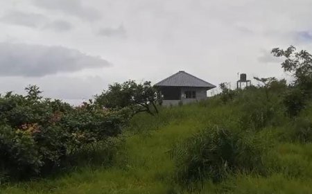 വിനോദസഞ്ചാരികളുടെ ഇഷ്ടകേന്ദ്രമായ കുരിശുപാറ കോട്ടപ്പാറയുടെ ടൂറിസം സാധ്യതകള് പ്രയോജനപ്പെടുത്താന് ത്രിതല പഞ്ചായത്തുകളുടെയോ സര്ക്കാരിന്റെയോ ഇടപെടല് വേണമെന്ന് ആവശ്യം.