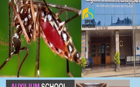 ആരോഗ്യ വകുപ്പിൻ്റെ അറിയിപ്പ് ;
ഏറ്റവും അപകടകാരിയായ ഈഡിസ് ഈജിപ്തി , ഈഡിസ് ആൽ ബോപിക്ടസ് കൊതുകുകളുടെ സാന്നിദ്ധ്യം കട്ടപ്പന നഗരസഭാ പരിധിയിൽ   കണ്ടെത്തിയതായി ആരോഗ്യ വകുപ്പ്