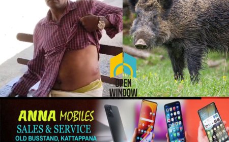 ഉപ്പുതറയിൽ കർഷകനെ കാട്ടുപന്നി അക്രമിച്ചു