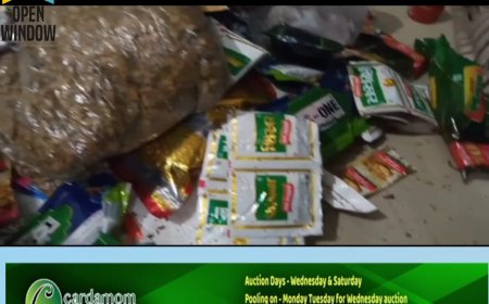 കട്ടപ്പനയിൽ വീണ്ടും നിരോധിത പാൻ മസാല പിടികൂടി;പാൻ മസാല വിൽപ്പന നടത്തിയത് അന്യസംസ്ഥാനക്കാരനായ സ്കൂൾ വിദ്യാർത്ഥി