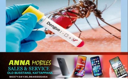 സംസ്ഥാനത്ത് ഡെങ്കിപ്പനി കേസുകൾ വീണ്ടും കൂടി.പത്തനംതിട്ടയിൽ ഒരു വയസ്സുകാരി പനി ബാധിച്ചു മരിച്ചു.