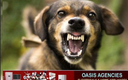 തെരുവ് നായ്ക്കൾക്ക് ഭക്ഷണം കൊടുക്കുന്നതിനിടെ നായയുടെ നഖം കൊണ്ട് മുറിവേറ്റ യുവതി പേവിഷ ബാധയേറ്റ് മരിച്ചു.