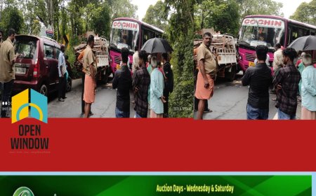 കട്ടപ്പന പുളിയന്മലക്ക് സമീപം സ്വകാര്യ ബസും പിക്കപ്പും തമ്മിൽ കൂട്ടിയിടിച്ചു