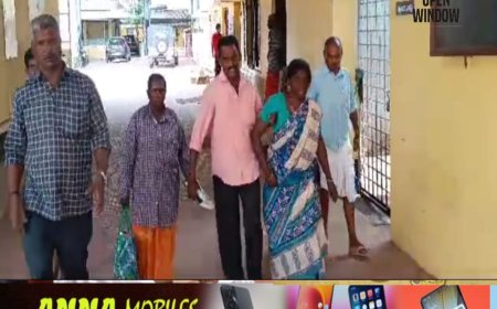 കാട്ടുപന്നിയുടെ ആക്രമണത്തിൽ എസ്റ്റേറ്റ് തൊഴിലാളി സ്ത്രീക്ക് പരിക്ക്