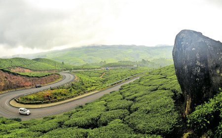 കൊച്ചിയിൽ നിന്ന് മൂന്നാറിലേക്ക്  10 മീറ്റർ വീതിയിൽ റോഡ് നവീകരണം.
കൊച്ചി - ധനുഷ്കോടി ദേശീയ പാത നവീകരണത്തിന് 1,073 കോടി