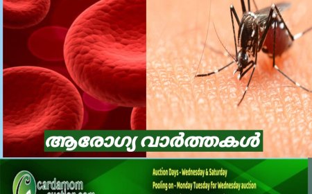 ഡെങ്കിപ്പനി കാരണം രക്തത്തിലെ പ്ലേറ്റ്‌ലെറ്റിന്റെ അളവ് കുറയുന്നത് അപകടകരമായ അവസ്ഥയാണ്