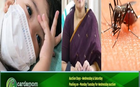 സംസ്ഥാനത്ത് പനി കേസുകളിൽ വർധനയുണ്ടായേക്കാമെന്നും അതീവ ജാഗ്രത വേണമെന്നും ആരോ​ഗ്യ മന്ത്രി വീണാ ജോർജ്ജ്