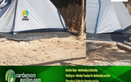 അനധികൃത ടെന്റ് ക്യാമ്പുകളില്‍ പരിശോധന ഉടന്‍  : ജില്ലാകളക്ടര്‍