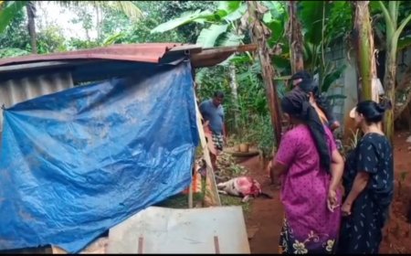 കട്ടപ്പന വെള്ളയാംകുടിയിൽ അജ്ഞാത ജീവിയുടെ ആക്രമണം. രണ്ട് ആടുകളെ കൊന്നു.