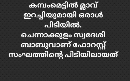 കമ്പംമെട്ടിൽ മ്ലാവ് ഇറച്ചിയുമായി ഒരാൾ പിടിയിൽ.ചെന്നാക്കുളം സ്വദേശി ബാബുവാണ് ഫോറസ്റ്റ് സംഘത്തിൻ്റെ പിടിയിലായത്