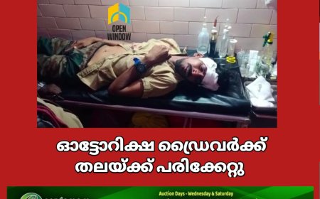 വണ്ടിപ്പെരിയാർ നെല്ലിമലക്ക് സമീപം നിർത്തിയിട്ടിരുന്ന ടിപ്പർ ലോറിയിൽ ഓട്ടോറിക്ഷ ഇടിച്ച് അപകടം