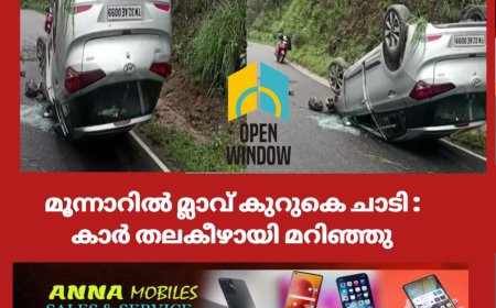മൂന്നാറിൽ മ്ലാവ് കുറുകെ ചാടി.കാർ തലകീഴായി മറിഞ്ഞു.രണ്ടര വയസ്സുള്ള കുട്ടിയടക്കം യാത്രക്കാർ അത്ഭുതകരമായി രക്ഷപെട്ടു