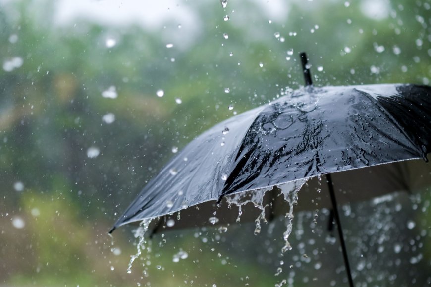 ഒറ്റപ്പെട്ട മഴയ്ക്ക് സാധ്യത ; ഇടുക്കിയിൽ ഇന്ന് യെല്ലോ അലർട്ട്