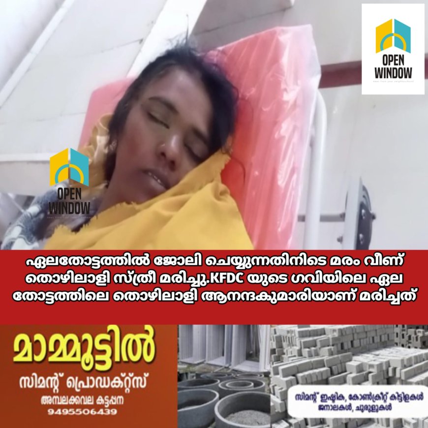 ഇടുക്കി ഗവിയിൽ ഏലതോട്ടത്തിൽ ജോലി ചെയ്യുന്നതിനിടെ മരം വീണ് തൊഴിലാളി സ്ത്രീ മരിച്ചു