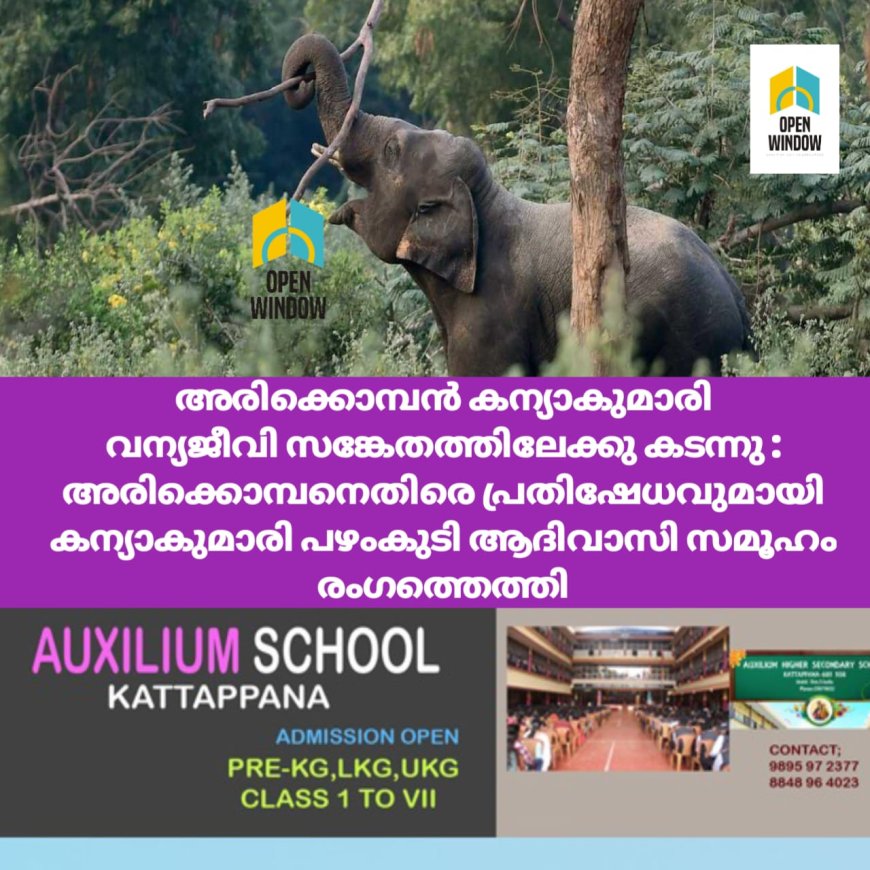 അരിക്കൊമ്പൻ കന്യാകുമാരി വന്യജീവി സങ്കേതത്തിലേക്കു കടന്നു; പ്രദേശത്തു നിന്നുള്ള റേഡിയോ കോളർ സന്ദേശം ലഭിച്ചതായി തമിഴ്നാട് വനംവകുപ്പ്