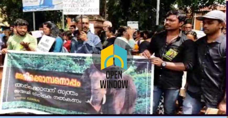 അരിക്കൊമ്പന് ഐക്യദാർഡ്യവുമായി കണ്ണൂരിൽ  മൃഗ സ്നേഹികളുടെ കൂട്ടായ്മ