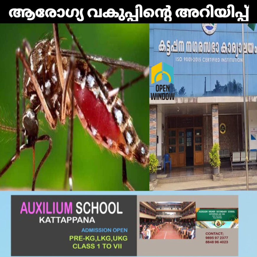 ആരോഗ്യ വകുപ്പിൻ്റെ അറിയിപ്പ് ;
ഏറ്റവും അപകടകാരിയായ ഈഡിസ് ഈജിപ്തി , ഈഡിസ് ആൽ ബോപിക്ടസ് കൊതുകുകളുടെ സാന്നിദ്ധ്യം കട്ടപ്പന നഗരസഭാ പരിധിയിൽ   കണ്ടെത്തിയതായി ആരോഗ്യ വകുപ്പ്