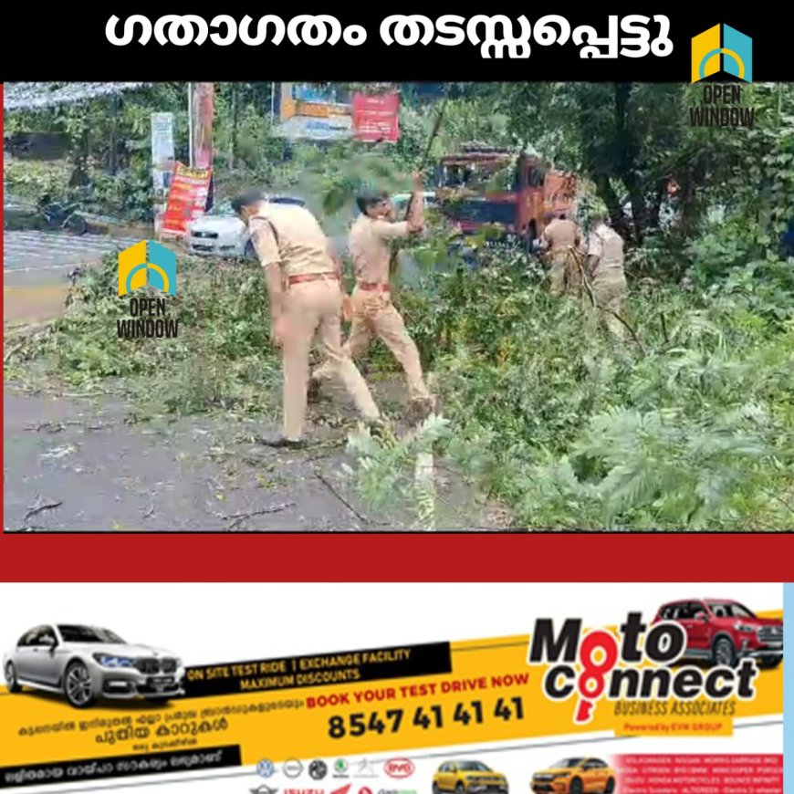 കൊച്ചി-ധനുഷ്‌കോടി ദേശീയപാതയില്‍ ചാറ്റുപാറയ്ക്ക് സമീപം മരത്തിന്റെ കൊമ്പൊടിഞ്ഞുവീണ് ഗതാഗതം തടസ്സപ്പെട്ടു