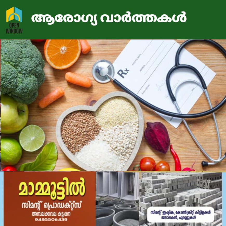 മഴക്കാലം തുടങ്ങിയാല്‍ പിന്നെ രോഗങ്ങള്‍ പിടിമുറുക്കിത്തുടങ്ങും ; ശരീരത്തിന്റെ പ്രതിരോധശേഷി വര്‍ദ്ധിപ്പിക്കാന്‍ പ്രത്യേക ശ്രദ്ധ നല്‍കണം